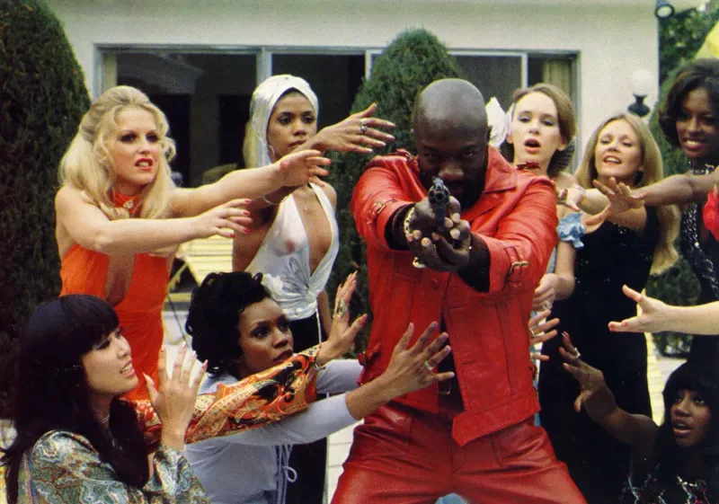 10 Best Blaxploitation Movies That Defined The Genre | Reel Magic